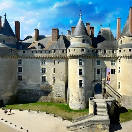 Apartment T3 Lumineux Et Spacieux Tours