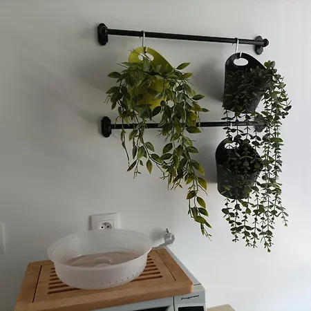 T3 Lumineux Et Spacieux